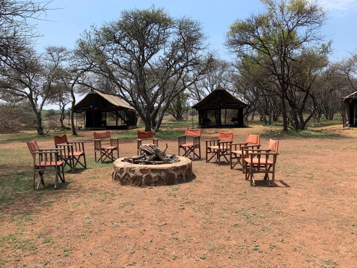 Zebra Nature Reserve Cullinan Esterno foto